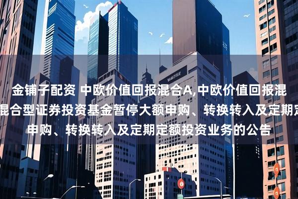 金铺子配资 中欧价值回报混合A,中欧价值回报混合C: 中欧价值回报混合型证券投资基金暂停大额申购、转换转入及定期定额投资业务的公告